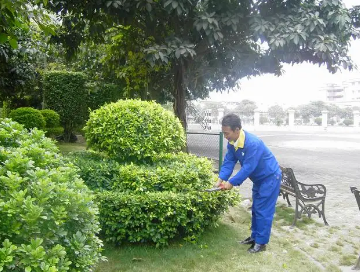 綠化養(yǎng)護(hù)如何提高管理水平？